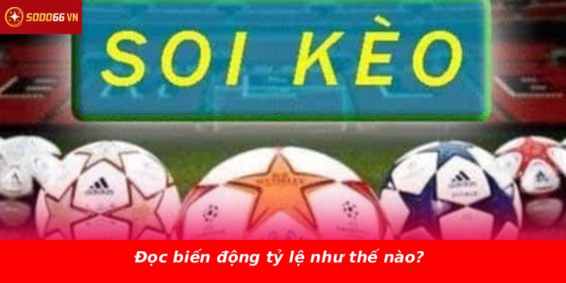 Đọc biến động tỷ lệ như thế nào?