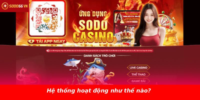 Hệ thống hoạt động như thế nào?